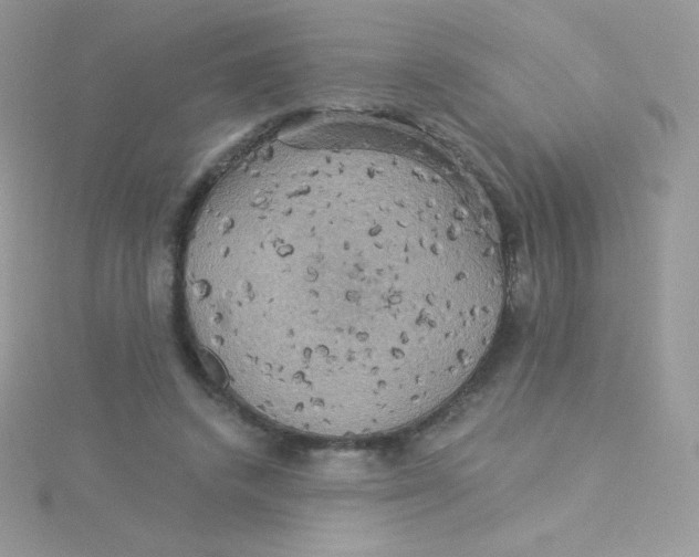 X0000115330448200911231415