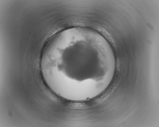 X0000115330449200911231415