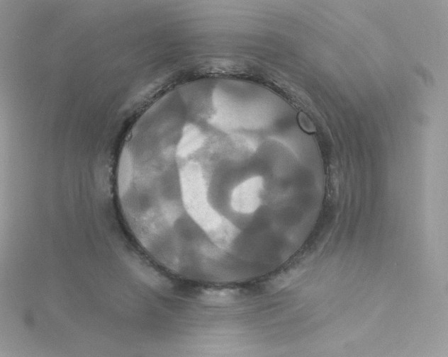 X0000115330450200911231415