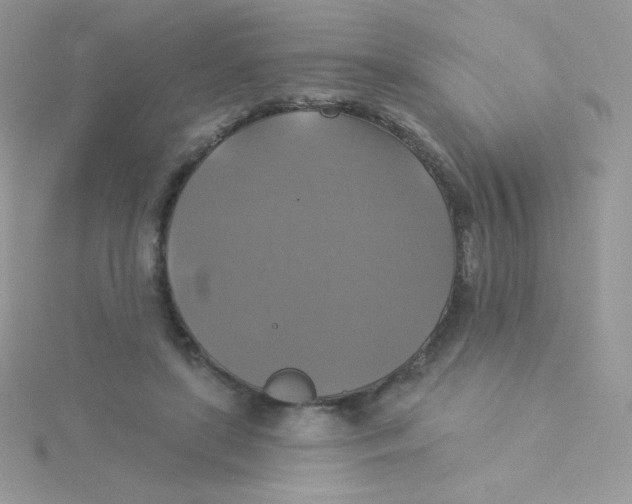 X0000115330451200911231415