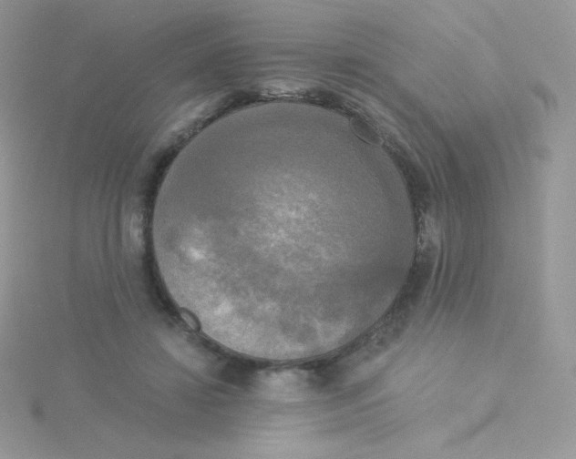 X0000115330452200911231415