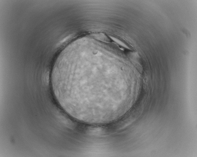 X0000115330454200911231415