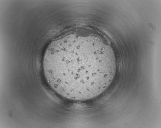 X0000115330455200911231415