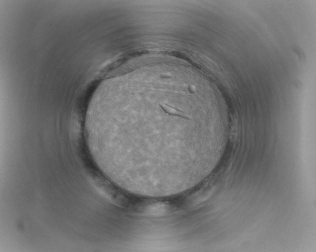 X0000115330456200911231415