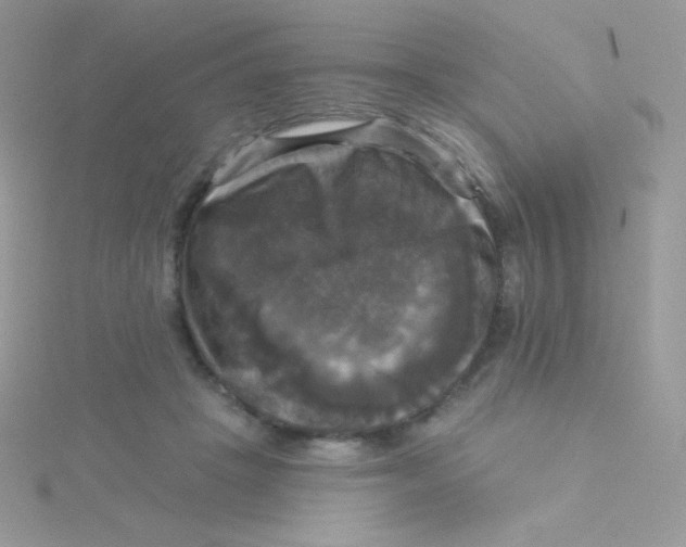 X0000115330457200911231415