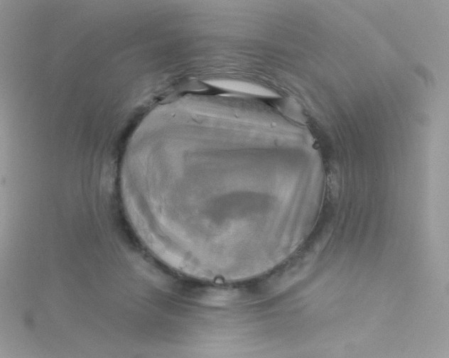 X0000115330458200911231415