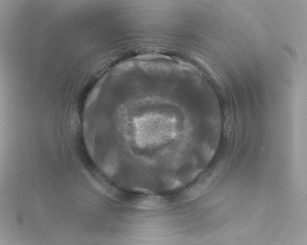 X0000115330459200911231415