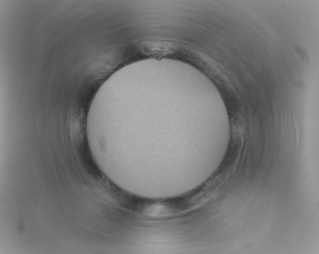 X0000115330460200911231415