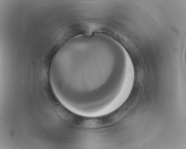 X0000115330461200911231415