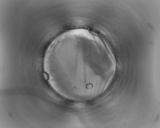 X0000115330462200911231415