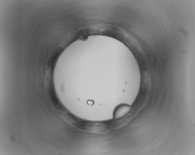 X0000115330463200911231415