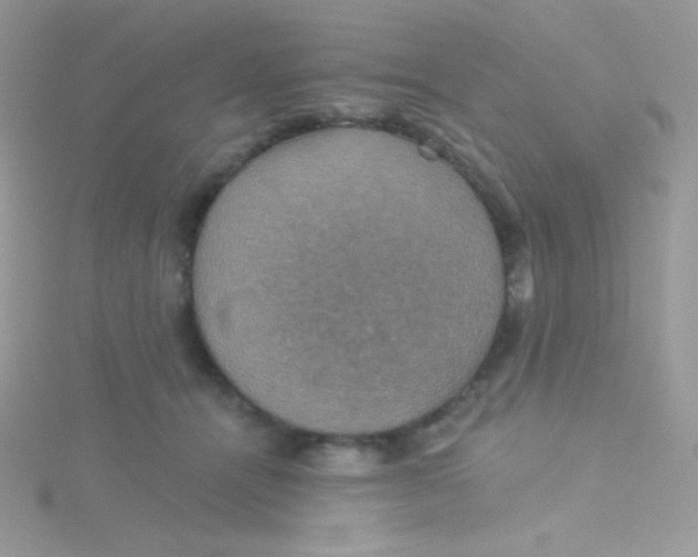 X0000115330464200911231415