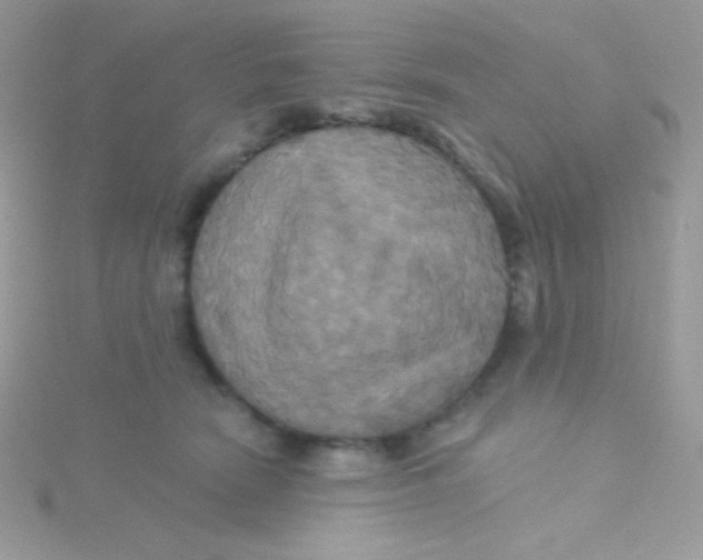 X0000115330466200911231415