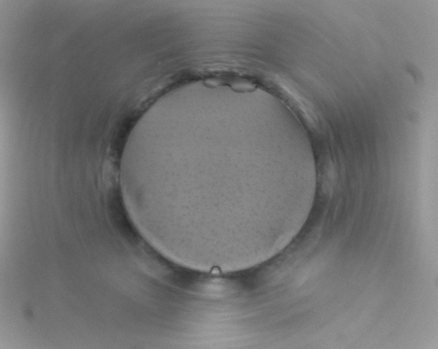 X0000115330467200911231415