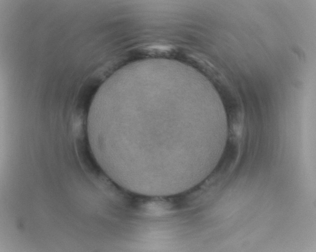 X0000115330468200911231415