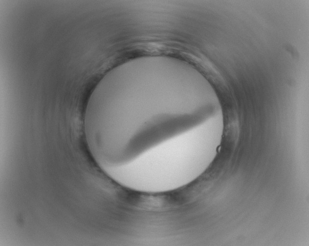 X0000115330469200911231415