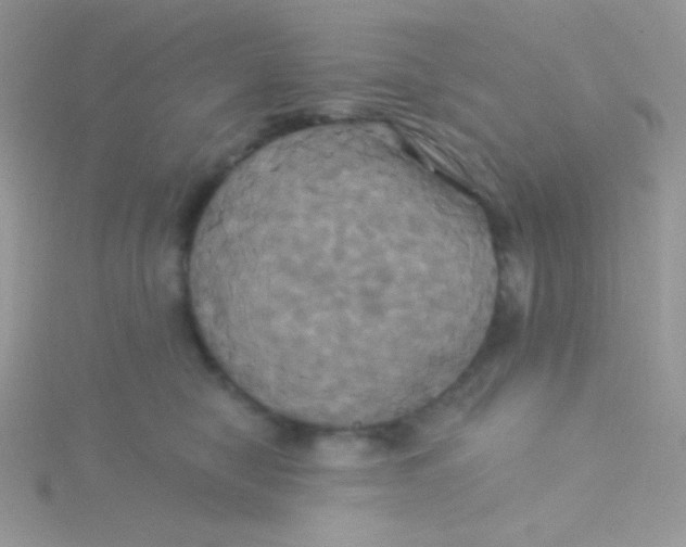 X0000115330470200911231415