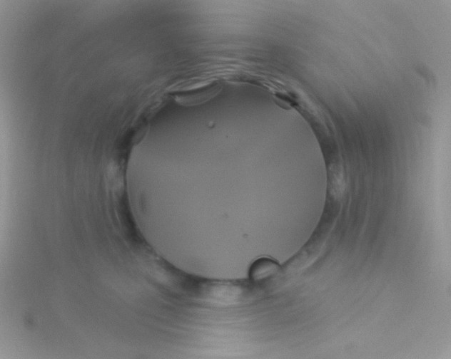 X0000115330471200911231415