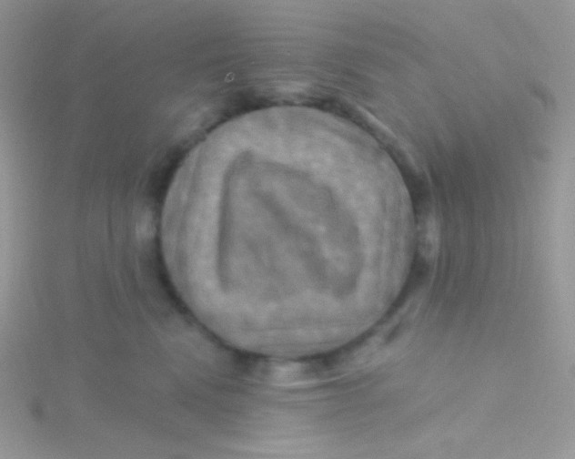 X0000115330472200911231416