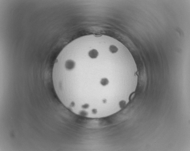 X0000115330473200911231416