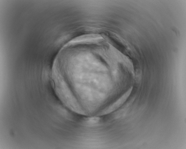 X0000115330474200911231416