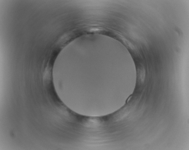 X0000115330475200911231416