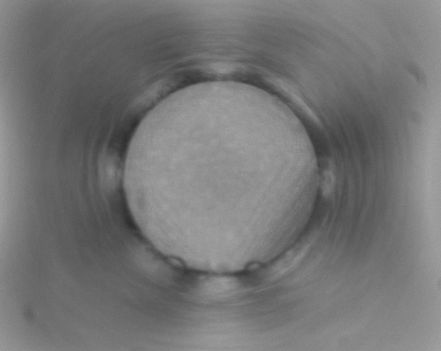 X0000115330476200911231416