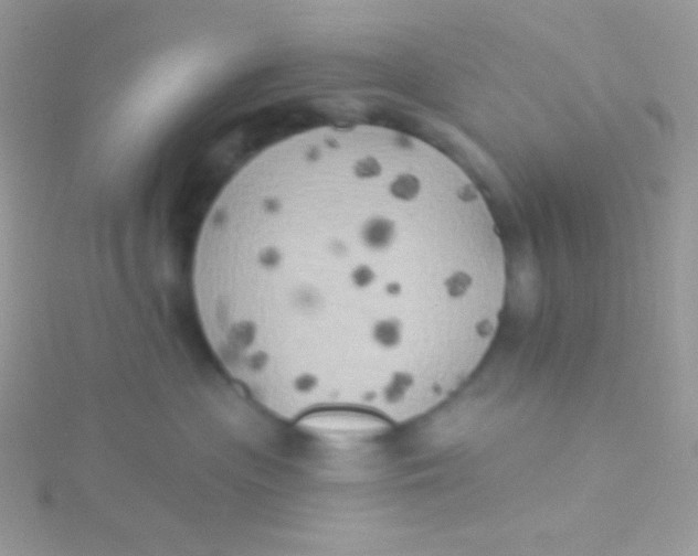 X0000115330477200911231416