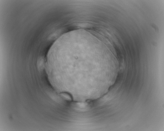 X0000115330478200911231416