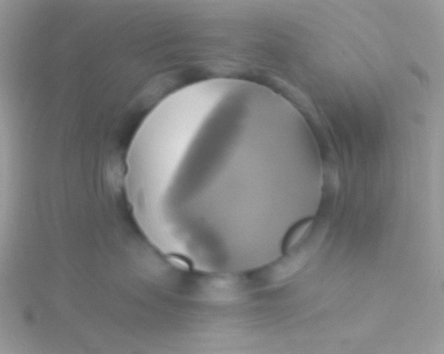 X0000115330479200911231416