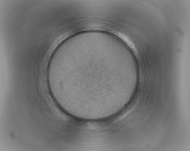 X0000115330481200911231415