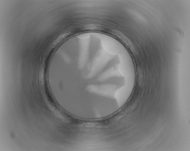 X0000115330482200911231415