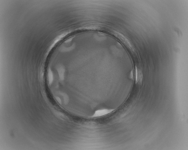 X0000115330483200911231415