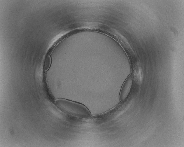 X0000115330484200911231415