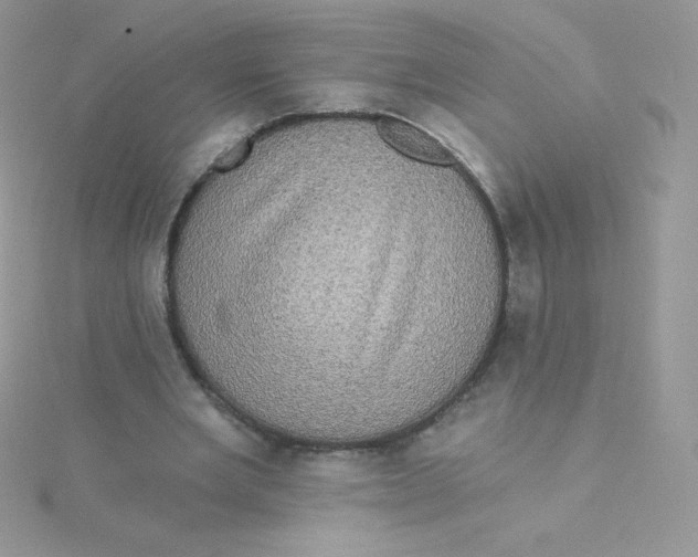 X0000115330485200911231415