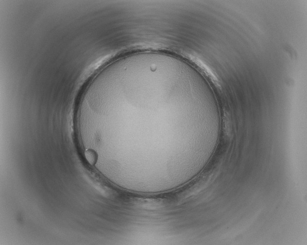 X0000115330486200911231415