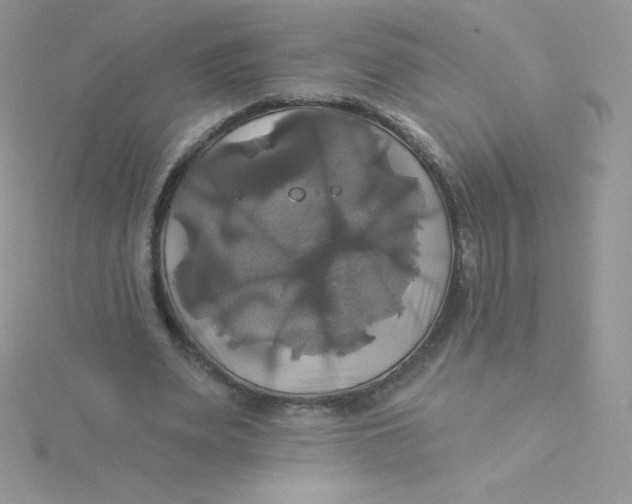 X0000115330487200911231415