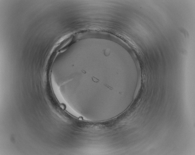 X0000115330488200911231415