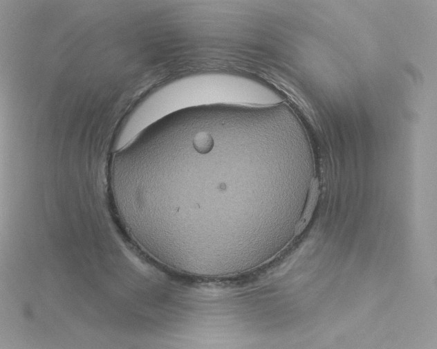 X0000115330489200911231415