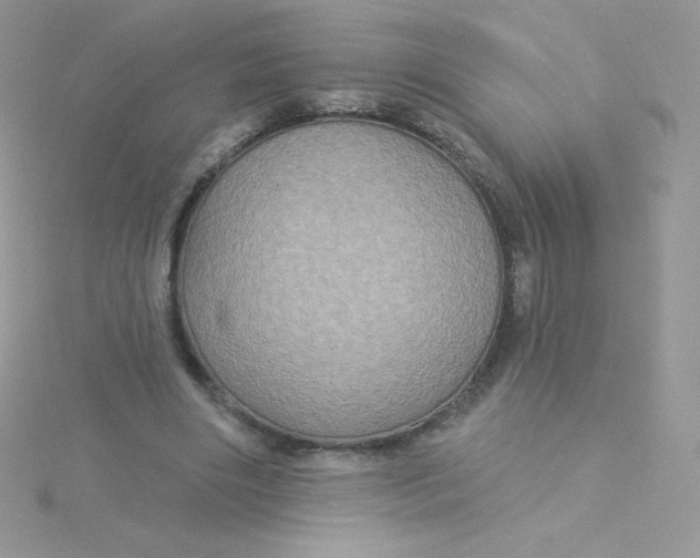 X0000115330490200911231415