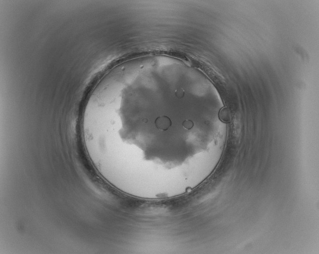 X0000115330491200911231415