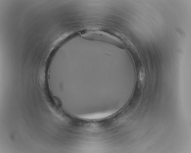 X0000115330492200911231415