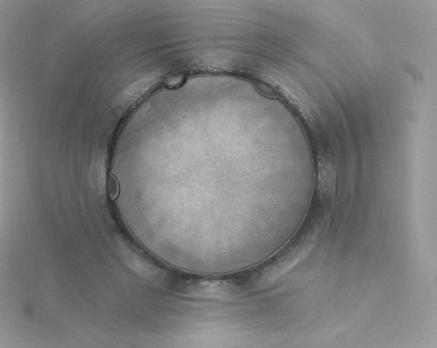 X0000115330493200911231415