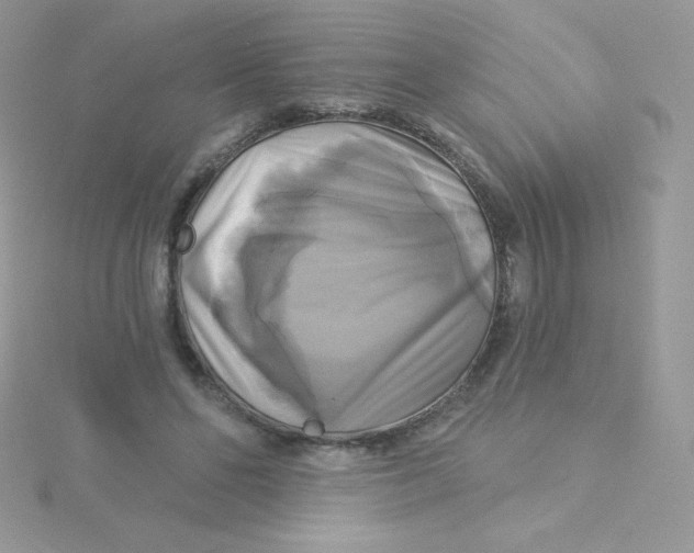 X0000115330494200911231415