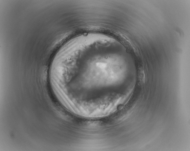 X0000115330495200911231415