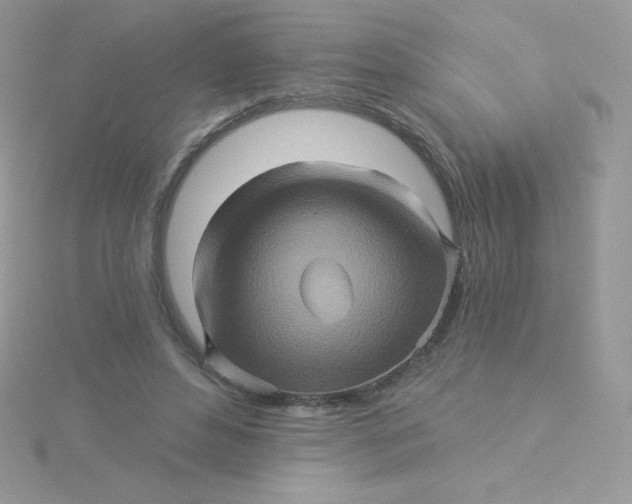 X0000115330496200911231415