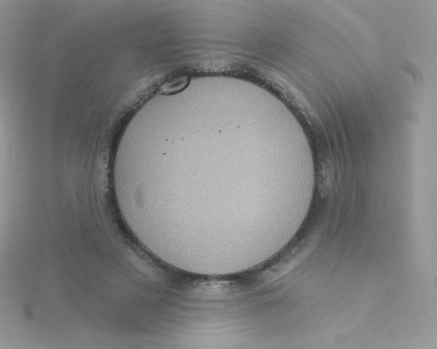 X0000115330497200911231415