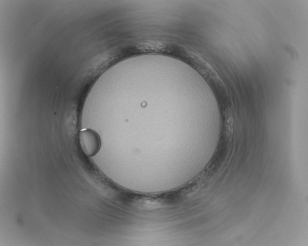 X0000115330498200911231415