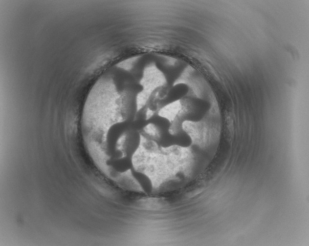 X0000115330499200911231415