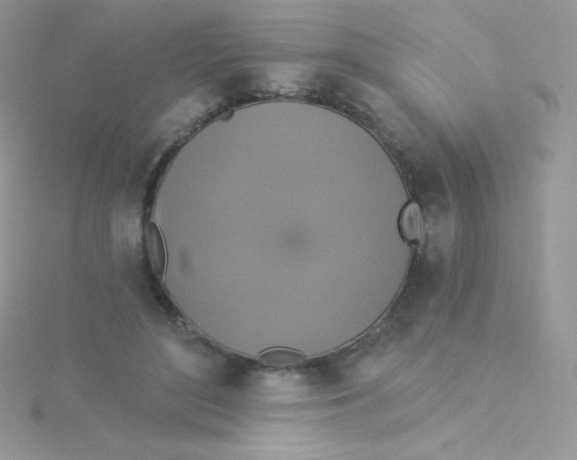 X0000115330500200911231415